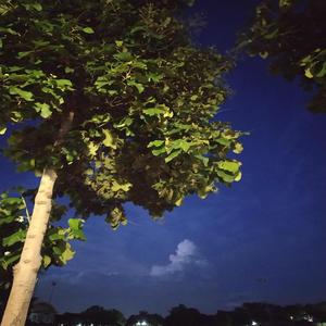 That I want (sky is the limit)