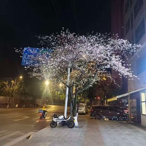 秋分 （Prod.No Birthday）