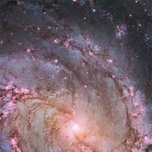 海有多深也淹没不了孤岛