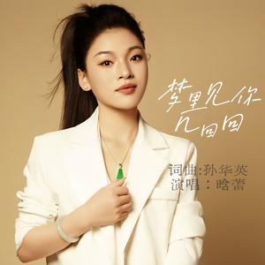 梦里见你几回回