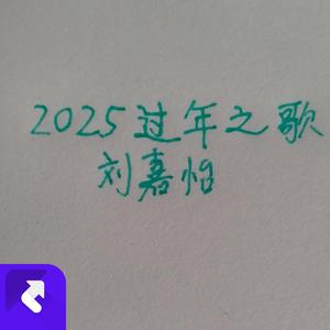 2025过年歌 (现场)