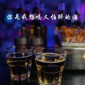 你是我想喝又怕醉的酒