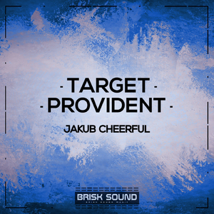 Provident (Original Mix)