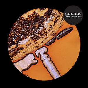 Over (feat. Last Jazz Club)