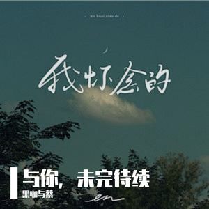 未完成的落幕