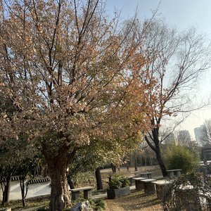 别再苛责自己
