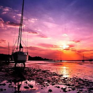 鸡汤来咯之啦啦啦