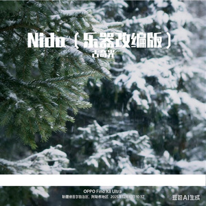 Nida（乐器改编版）