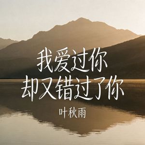 我爱过你却又错过了你(伴奏)