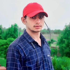 Fulchdi Si Jaan Fataka Chhod Diwali Meena Geet
