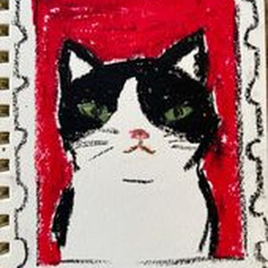 springtone starlight