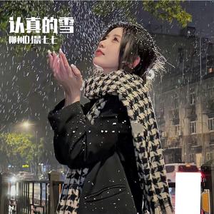 柳州DJ晨七七-认真的雪DJ《热播版》