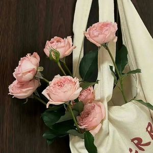 绝对压制这一块