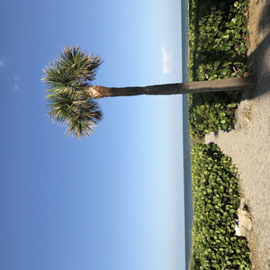 i don't want to trap anymore