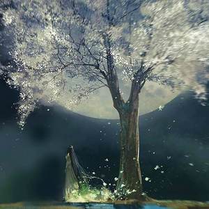 你的眼中倒映着如水的月光