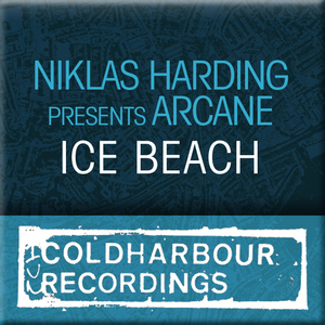 Ice Beach (Original Mix)