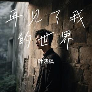 再见了我的世界