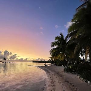 回忆回去还是未来