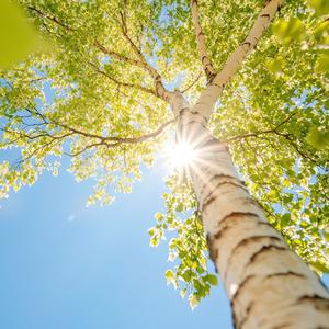 来表个态，可好？（男声领唱版）