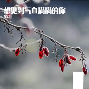 想见到气血满满的你