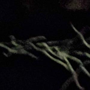 Protected (feat. gtca)