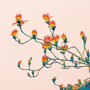 大梦（Cover瓦依那&任素汐）