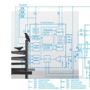 Maani Nunami (feat. Tarrak)