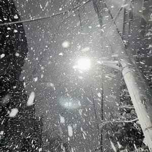 夢 雪