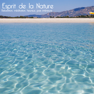 1. Allegro ModeratoViounconcerto In D Major Op. 35