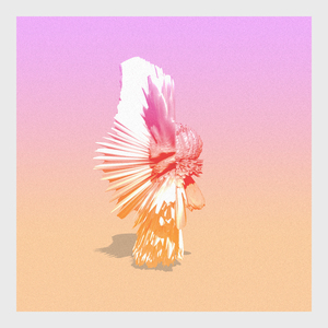 Flutter