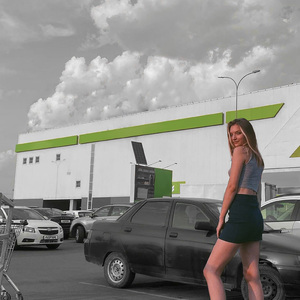 Леруа мерлен