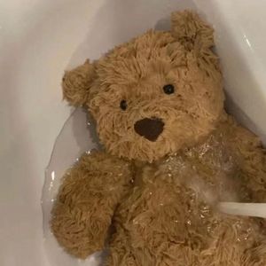 温蒂公主的侍卫   mix2