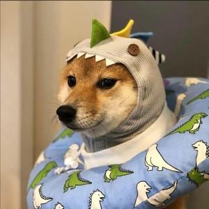 有些