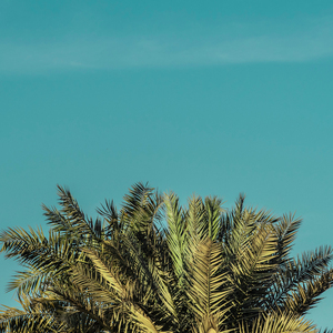 meeting with best friend