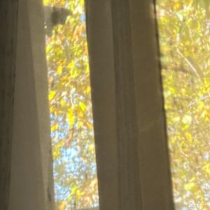 心笑 （prod.Eee.T）