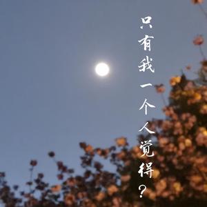 只有我一个人觉得？（翻自 时代少年团）