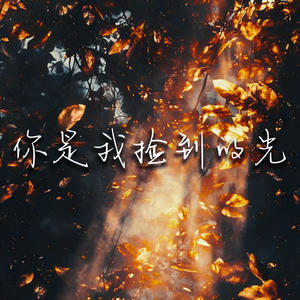 你是我捡到的光