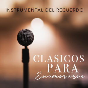 No Pude Enamorarme Más