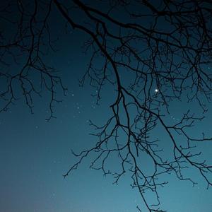 今晚的星星也很亮（Cover）