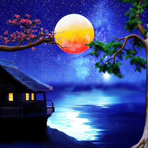 月光下的朦胧夜色