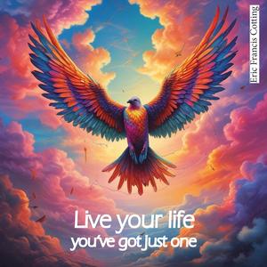 Live your life (Ballad sung by man Mix) (Live)