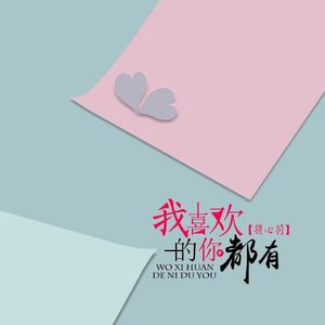 我喜欢的你都有