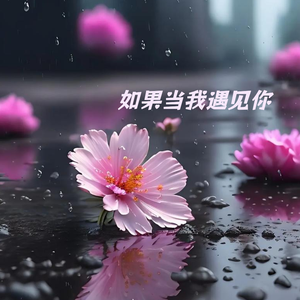 如果让我遇见你（怨苍天变了心）