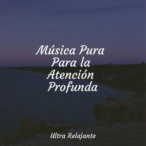Mañanas Junto Al Mar