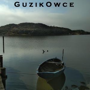 Zabieg usunięcia uczuć