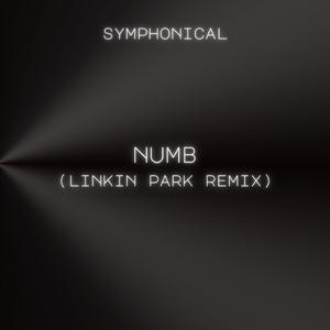 Numb (Linkin Park Remix)