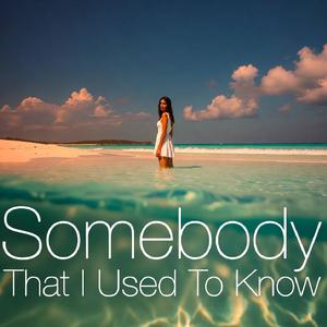 Somebody That I Used To Know