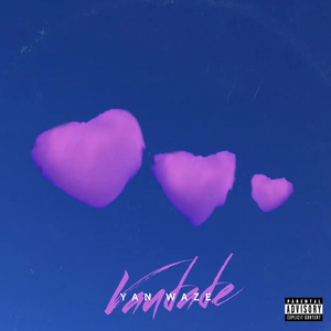 Vaidade