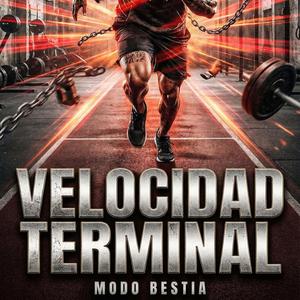 Velocidad Terminal