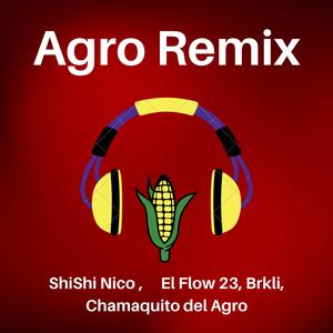 Agro (DJ Agro Remix)
